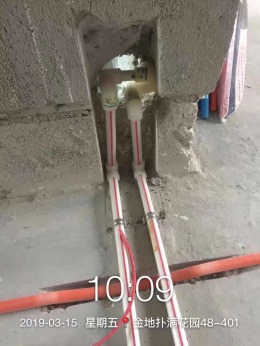 金地铺满花园