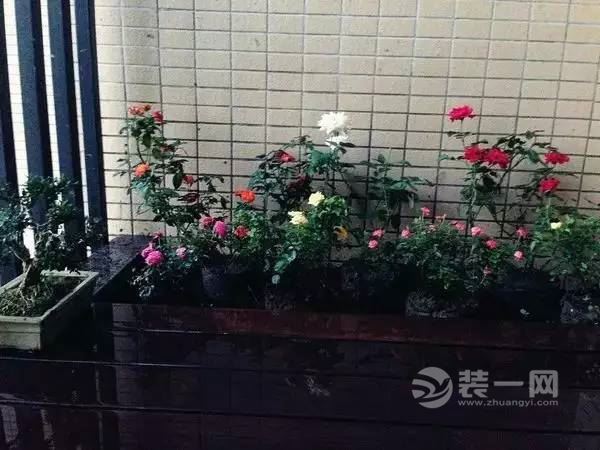 总结几步教你如何在阳台打造出鱼池和小花园